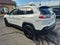 2019 Jeep Cherokee Altitude 4x4